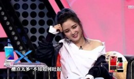 苏醒爆料何洁离婚原因视频,何洁离婚背后的惊人真相